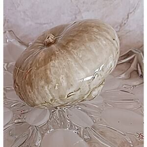 Realistic GOURD ugly Pumpkin Ceramic Art Glaze Kitsch Decor Thanksgiving Kitchen